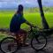 Rinjani Beach Eco Resort - Tanjung