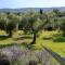 PODERI LA ROCCHETTA Luxury Villa on the Hills of Lake Garda