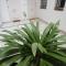 Apartamento Corazón de Triana
