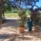 Charme et authenticité dans une ferme. - Lourmarin