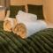 Stylish Studio in Central Wolverhampton - Pass the Keys