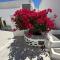 Palm Tree Hill - Oia