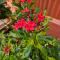 Nivritti Villa Luxury 2BHK Private Villa with AC, Full Privacy & Prime Location in Matheran