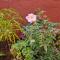 Nivritti Villa Luxury 2BHK Private Villa with AC, Full Privacy & Prime Location in Matheran