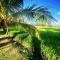 Aroma Villa Homestay