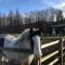 Hexhamshire Shepherd Hut