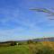 Blue Crest Cottages - North Rustico