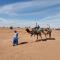 Kasbah Desert Camp