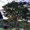 Vayalada View Point Resort - Kozhikode