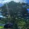 Vayalada View Point Resort - Kozhikode