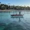 Dominicus Castillo Paradise - La Laguna