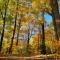 Free tickets! Sleeps 10 SECLUDED Cosby cabin on 7 acres w hot tub, game room!