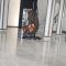 LS HOTEl