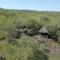 Rooted Bush Safaris - Mica