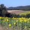 Surrounded by the beautiful sloping Tuscan landscape