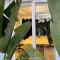 Inspirational apartment - to rest & to work - Alcalá