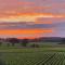 Château Fleur de Roques - Puisseguin Saint Emilion - Puisseguin