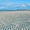 All New Beautiful Priscilla Beach OceanView - بليموث