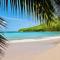 studio :paradise beach