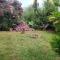 Memories of Malnad
