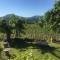 Panoramic view from stone Apartment- Pool and A/C