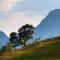 Ettlerlehen Chalets