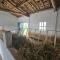 CASA DAVID-con cuadras para caballos