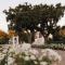 Palmiet Valley Wine Estate & Boutique Hotel