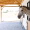 Huswell - Lord - Charming double room at ranch "De Blauwe Zaal"
