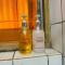 Arusha Backpackers Hotel