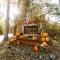 Wilderness Resort Villas