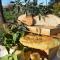 Villa Orta - Agriturismo con cucina Vegan, Plant-based Farmhouse