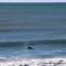 Oceanfront Views and Beach Access at Turtle Cove!