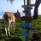 El Hongo Finca Hostal / Camping