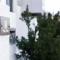 Spacious Urban Oasis in Throsby Canberra