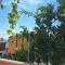 Rudovic Apartments