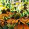 B&B Lilis Tuin