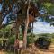 Yala Avian Eye Safari