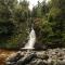 Rimu View 1 by Tiny Away