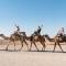 Inara Camp - Restaurant - Desert activities - Heated pools