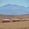 Inara Camp - Restaurant - Desert activities - Heated pools