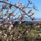 "BnB NOTO" - Charming Guest House