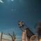 Inara Camp - Restaurant - Desert activities - Heated pools