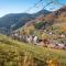 Ferienwohnung am Kapellenberg - am Rande des Nationalparks Schwarzwald - باد بيترستال غريسب