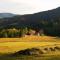 Ferienwohnung am Kapellenberg - am Rande des Nationalparks Schwarzwald - Bad Peterstal-Griesbach