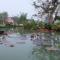 เช็คอินรีสอร์ทชัยนาท Check-in resort - Ban Khao Khayai (1)