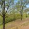 Free Daily Silver Dollar City Tickets & other Branson attractions! Cozy Branson Condo, Lower level, WALK-IN
