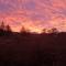 River Cottage Donegal
