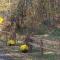 Knotty but Nice-sleeps 6-one minute to lake! - Three Oaks