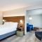 Holiday Inn Express Hotel & Suites Tampa-Fairgrounds-Casino, an IHG Hotel - تامبا